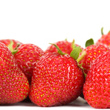 Strawberry - Chandler - Everbearing - GMO Free