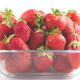 Strawberry - Honeoye - June-Bearing - GMO Free