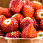 Strawberry - Albion - Day-Neutral - GMO Free