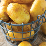 Potato - Yukon Gold - USDA Organic - GMO Free