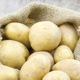 Potato - White Superior - USDA Organic - GMO Free