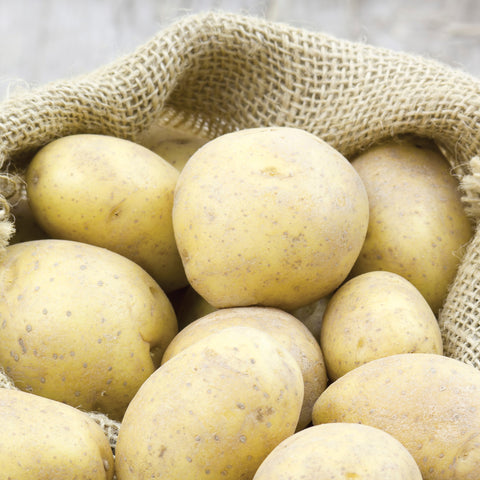 Potato - White Superior - USDA Organic - GMO Free