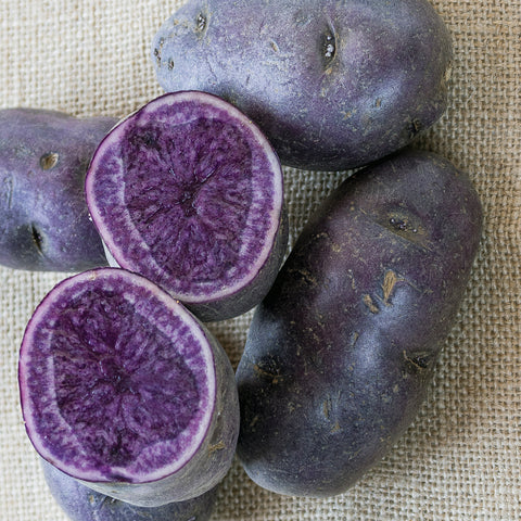 Potato - Adirondack Blue - USDA Organic - GMO Free