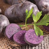 Potato - Adirondack Blue - USDA Organic - GMO Free