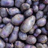 Potato - Adirondack Blue - USDA Organic - GMO Free