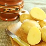 Potato - Gold Rush Russet - USDA Organic - GMO Free