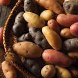 Potato - Fresh Crop Gourmet - Blend - USDA Organic - GMO Free