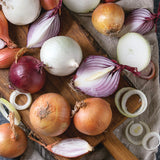 Onion - Fresh Crop - Blend