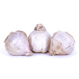 Garlic - Standard Purple Strip Chesnok Red